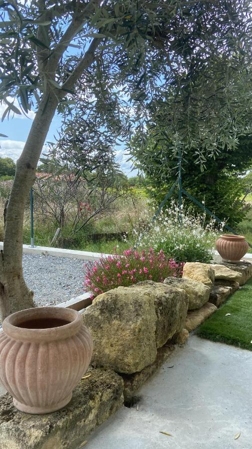 Maison De Charme Au Coeur Des Vignes Et Gironde Gauriac Kültér fotó